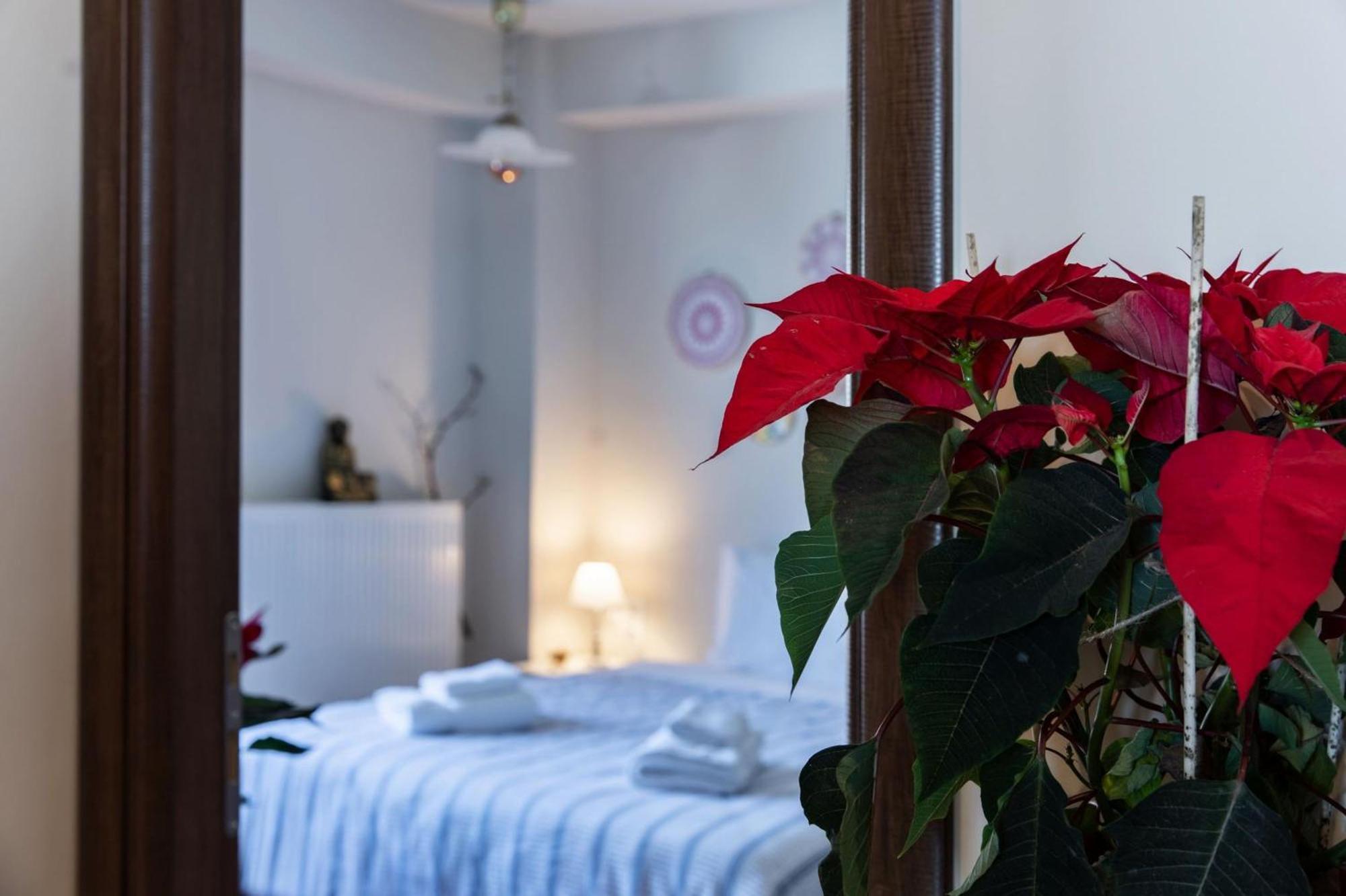 Stagiates Guest House At Pelion Πορταριά Εξωτερικό φωτογραφία